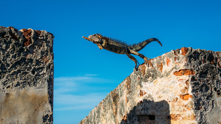 XRP вырос на 17%, обошел биткойн; трейдеры по-прежнему ожидают роста до $120,000 по BTC несмотря на ликвидации и падение цен обвалившихся альткоинов.