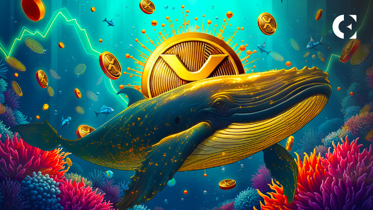 XRP достигает максимума за 4 месяца: как киты и Илон Маск влияют на рынок криптовалюты