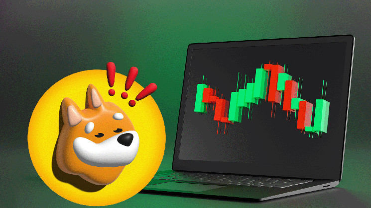 Краткосрочная коррекция Бонка: Аналитики предупреждают о возможном падении после роста цен