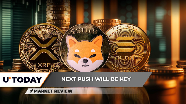 XRP и Shiba Inu: рост, объемы торговли и будущее на крипторынке