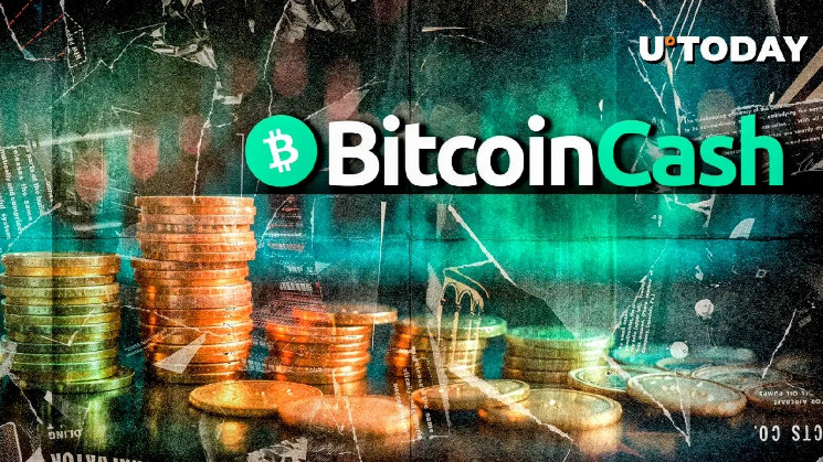 Обновление Bitcoin Cash: новые возможности с CHIP и BigInt для повышения производительности и безопасности сети