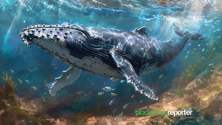 Крипто-кит заработал $1.5 миилона, инвестировав в токены $RIF и $URO за 3 дня