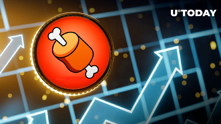 Токен BONE вибухає на 8,140% в Shibarium On-Chain