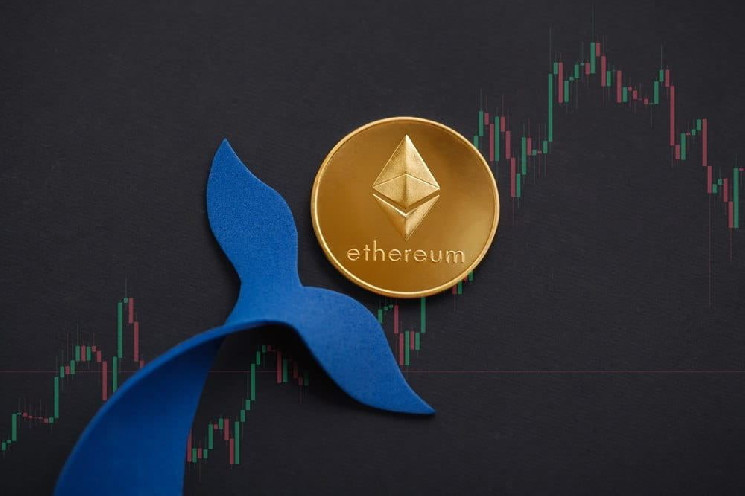 Накопичення кита Ethereum в лютому: $200 млн