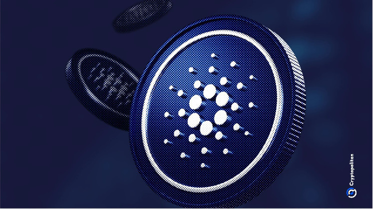 Cardano (ADA) достиг 8-месячного максимума и рассматривает сотрудничество с Ripple для развития DeFi и криптополитики в США