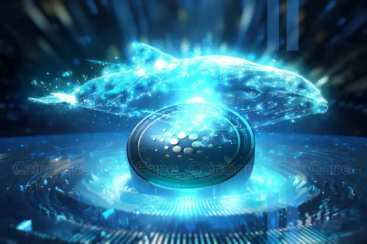 Киты Cardano активизировались: рост на 145% и прогноз цены до 6 долларов