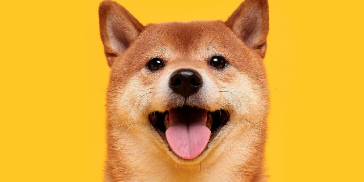 JustGiving запускает поддержку криптовалютных пожертвований, включая Биткойн и Догикойн