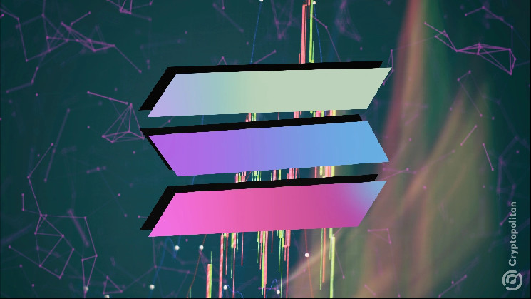 Активность DEX на Solana близка к Ethereum: бум мемов и конкуренция Raydium с Uniswap