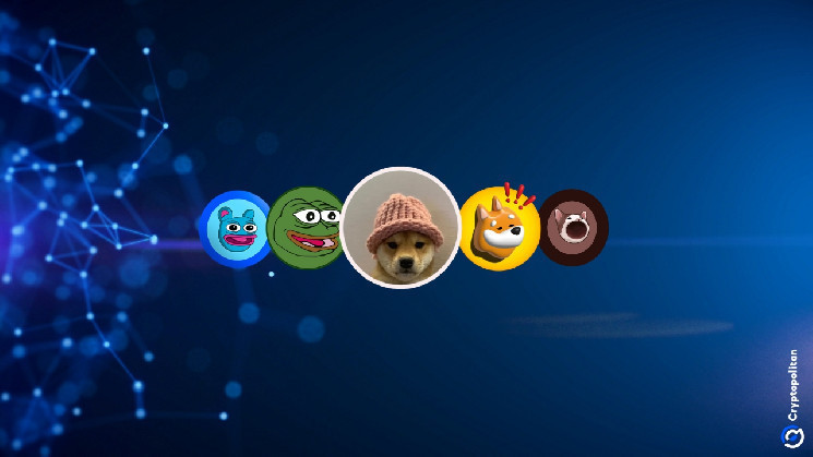 Резкий рост интереса к мемным монетам: что стоит за новым крипто-бумом