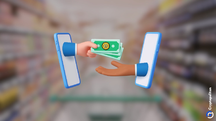 Догекоин на практике: компании и сервисы, принимающие DOGE в качестве оплаты