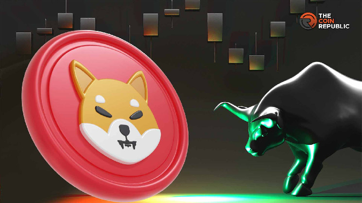 Шиба Ину (SHIB): эксперты ожидают рост цен на 216% и вход в новую бычью фазу благодаря бычьему флагу и консолидации на рынке.