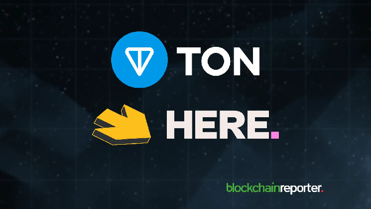 Фонд TON выделил $500,000 HOT Labs для создания безгазовой платформы мемкойнов